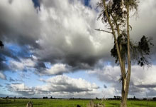 包含巴黎圣日耳曼客场连胜，豪取三连胜的词条